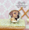 1:12 Dollhouse Miniature Labrador Dog Decorative Plate BB CDD498-1