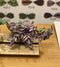 1:12 Dollhouse Miniature Wandering Jew Plant Kit DI P301