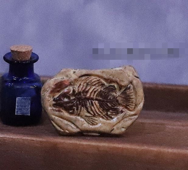 1:12 Dollhouse Miniature Fossil A25