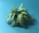 1:12 Dollhouse Miniature Boston Fern Plant Kit/Miniature Garden DI P306