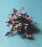 1:12 Dollhouse Miniature Wandering Jew Plant Kit DI P301